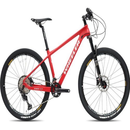 �ٷ� �̱� 2.0 (2024����)