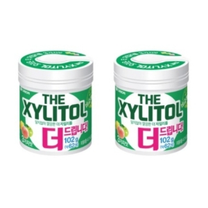 더 자일리톨 102g
