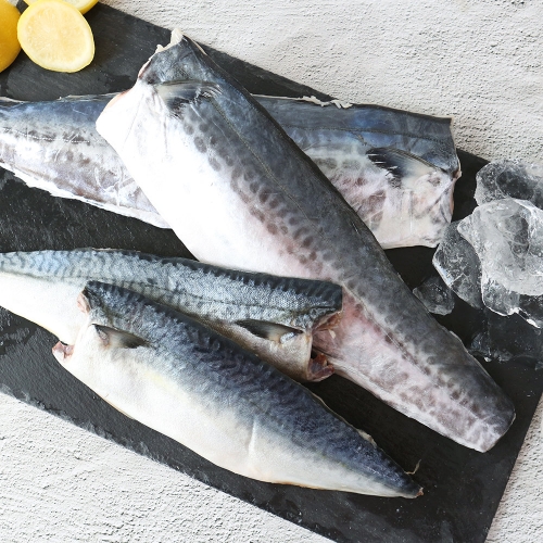 ģȯ���ȵ� ���� ���� ���� ��ġ+������ ��