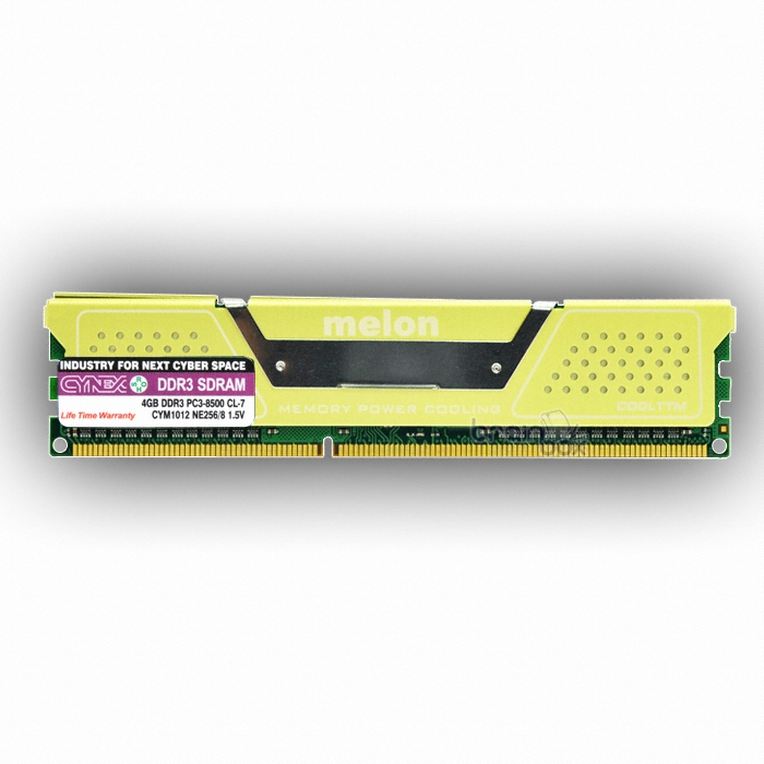 CYNEX DDR3-1066 멜론 (4GB)_이미지