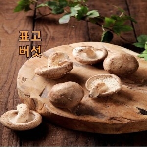 표고버섯 파지 3kg 신선농장
