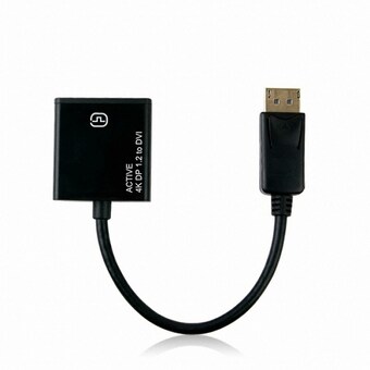 라이트컴 COMS <b>DisplayPort</b> 1.2 <b>to</b> <b>DVI</b> 컨버터 (DM178)