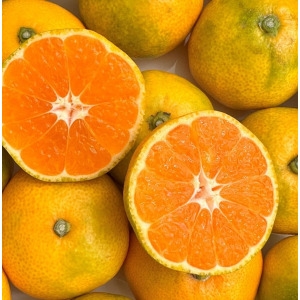 ���ְ��� ���絵 ���ֵ��� �� ���� �Ͽ콺 ���� ��� 10kg