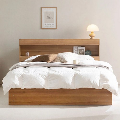 ���ڰ��� ��Ƽ C�� ������ ħ�� Q+��Ź 2��