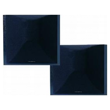 ���ǵ��� DFS Pacific EVO DFS