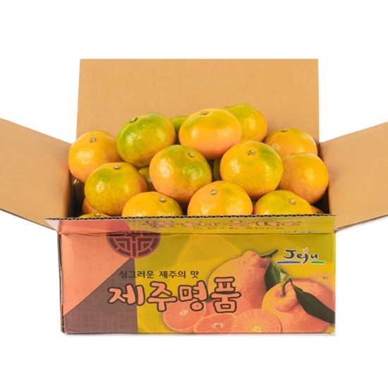 깨비농원 고당도 하우스귤 로얄과 1kg (1개)_이미지