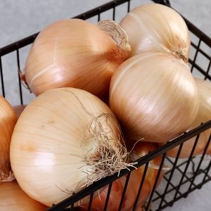 다농이네 무안 햇 양파 10kg 중_이미지