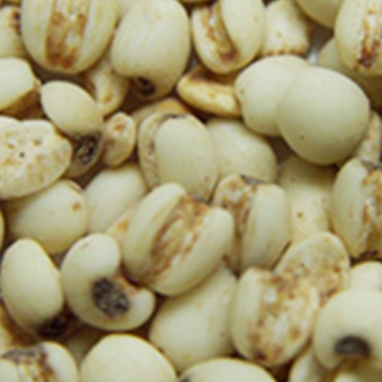 샘골마을 국내산 율무 1kg (1개)