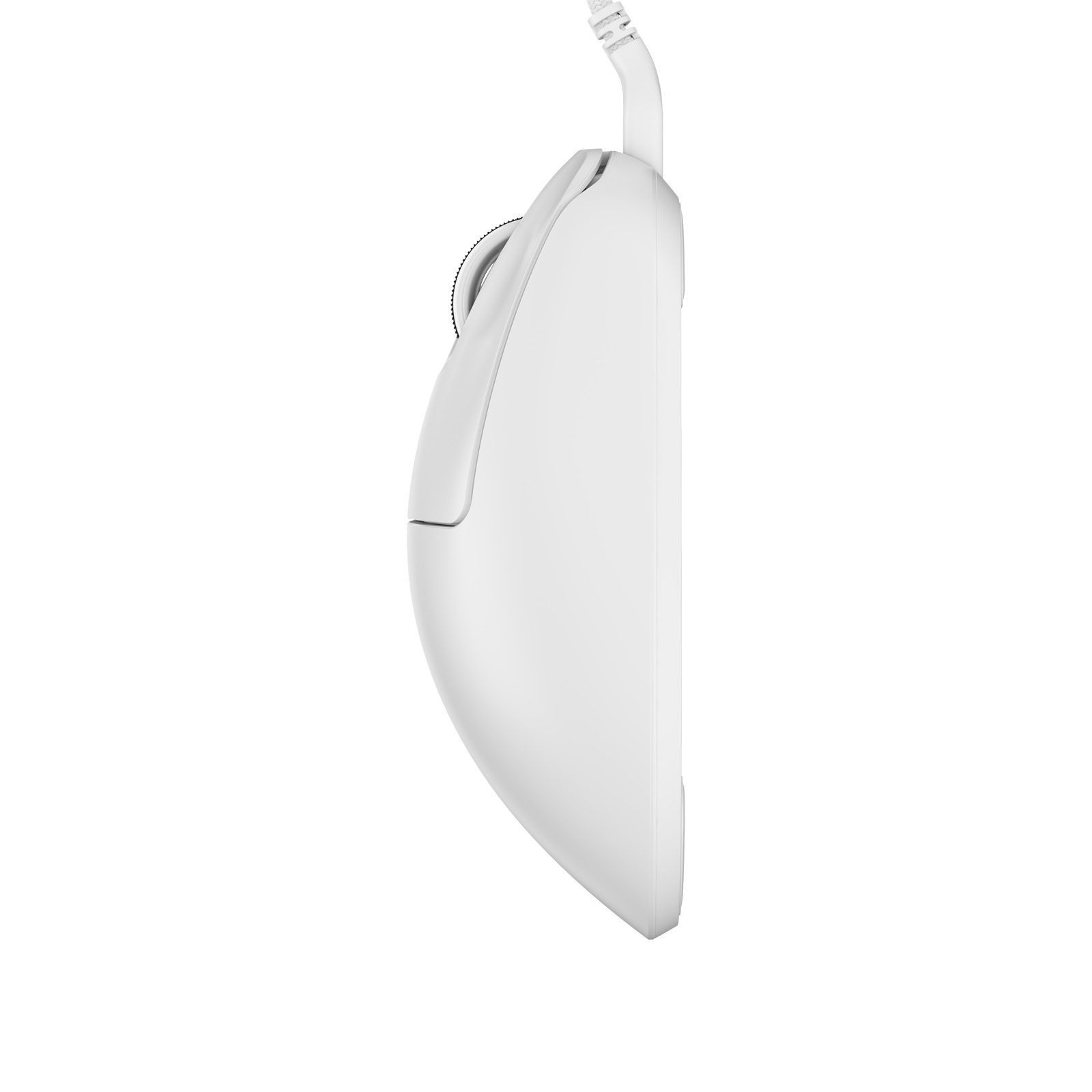 Pulsar Xlite 미디움 (화이트)_이미지