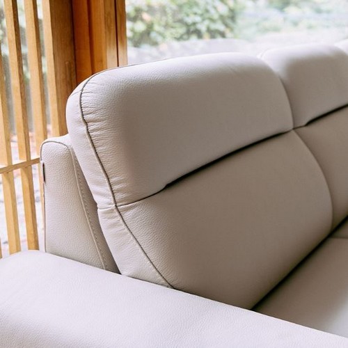 �ٿ�� ����� ��ü õ�����ǰ��� ���� 3�ο�