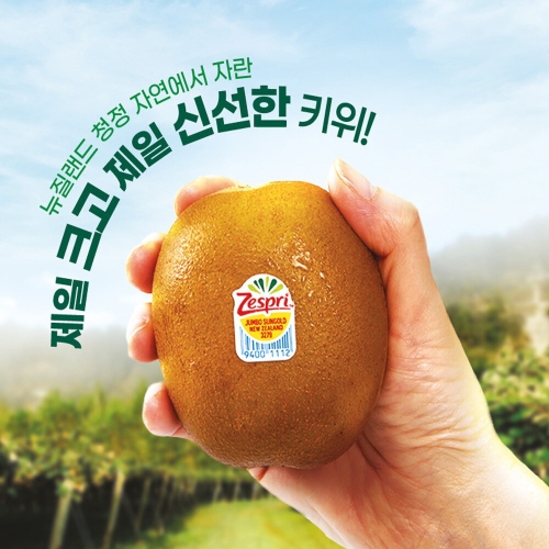 제스프리 프리미엄 과일선물 골드키위 프리미엄세트 3.3kg 점보20과내외 /개당 155g내외