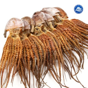 장수왕 피문어 중대 5마리 40-45cm 약문어 말린 피문어 건문어