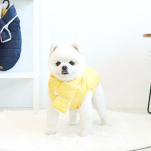 패리스독 초경량 패딩 옐로우이미지입니다. 누르면 해당 게시물로 새창이동합니다.
