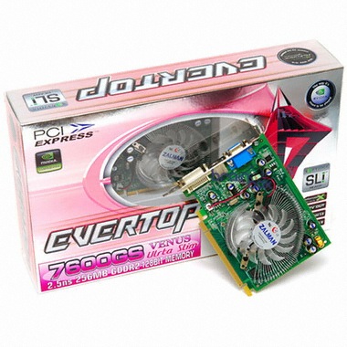 EVERTOP 지포스 7600GS 비너스 Ultra Slim 256MB 잘만