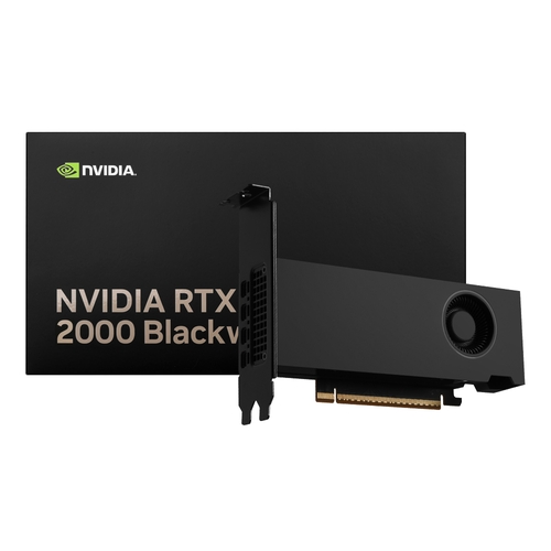 [RTX PRO2000 16G] NVIDIA RTX PRO 2000 Blackwell D7 16GB ����