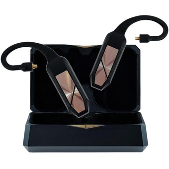 iFi audio Go Pod