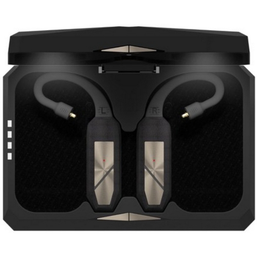 iFi audio Go Pod
