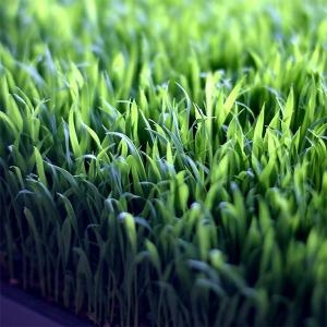 ���̾�119 ������ 100���� JS-32333