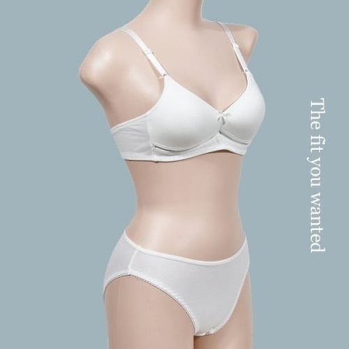 ���ƶ� �ִϾ� A�� �����Ƽ��Ʈ ����̾� ���� PT533 WFH6XXL