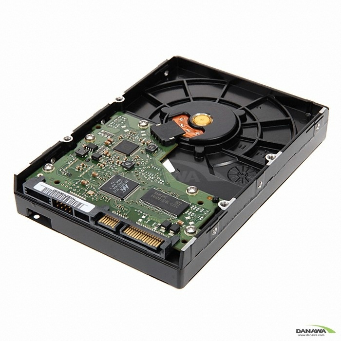 삼성전자 320GB Spinpoint F1 HD322HJ/DOM (SATA2/7200/16M)_이미지