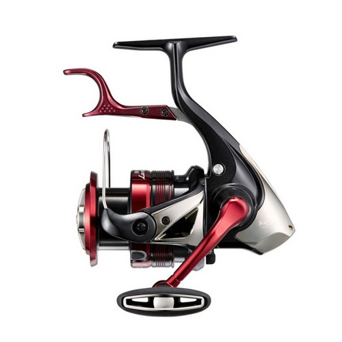 �ø��� BB-X �󸮻� C3000DXG, 2023����