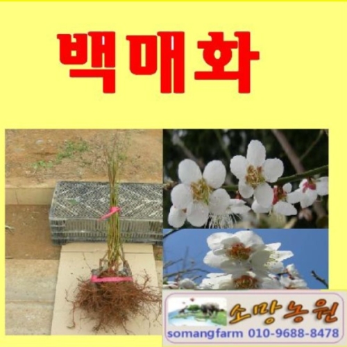 �Ҹ���� DZ �Ҹ� �����Ƴ������� ��� ����1��2�׷� /�������