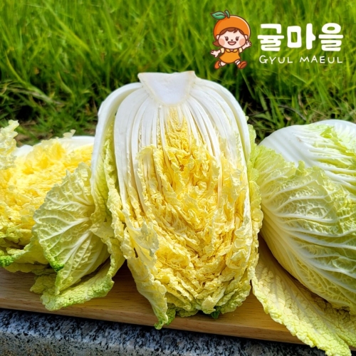 �ָ��� ������ �ӹ��� �˹��� 2�� ����600g�̻�