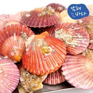 남해바다 국내산 가리비 2kg (1개)_이미지