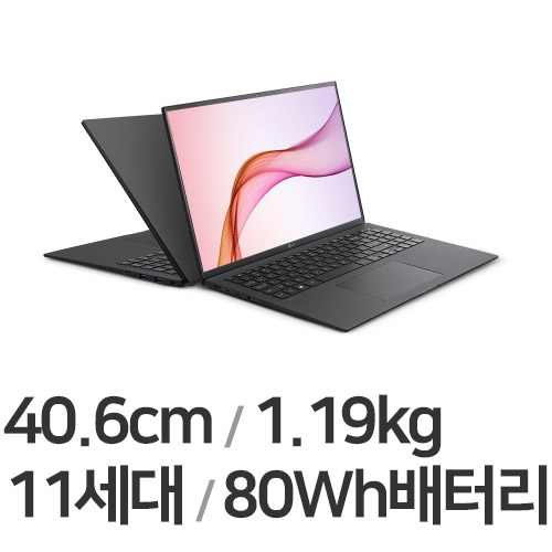 LG���� 2021 �׷�16 16ZD90P-GX7BK