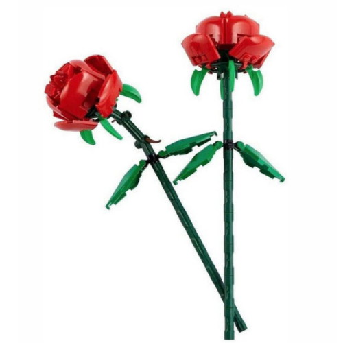 ���� ��� (40460)