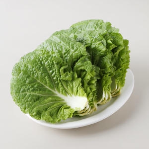 Ȩ�÷��� �̴Ͻ���_��