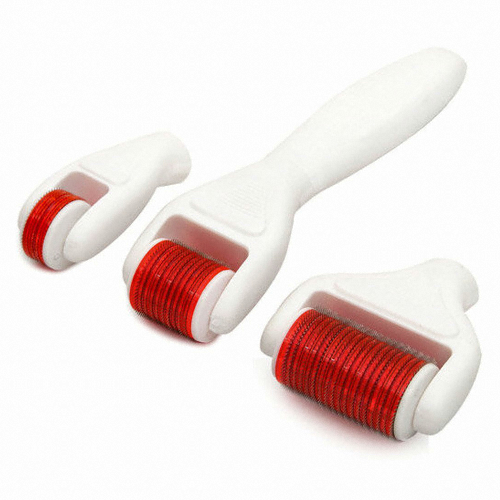 4 IN 1 DERMA ROLLER