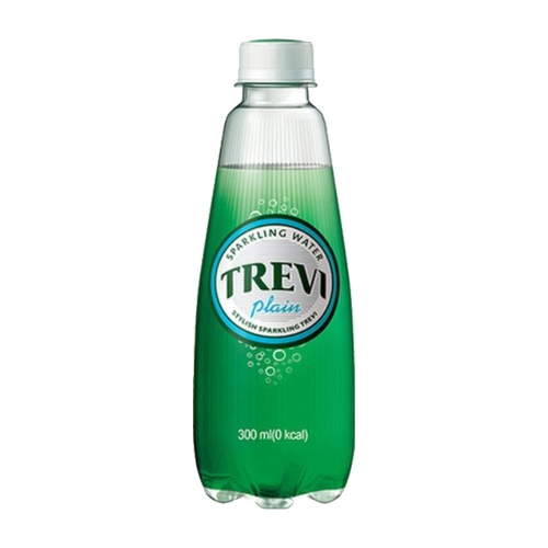롯데칠성음료 트레비 플레인 300ml (1개)_이미지