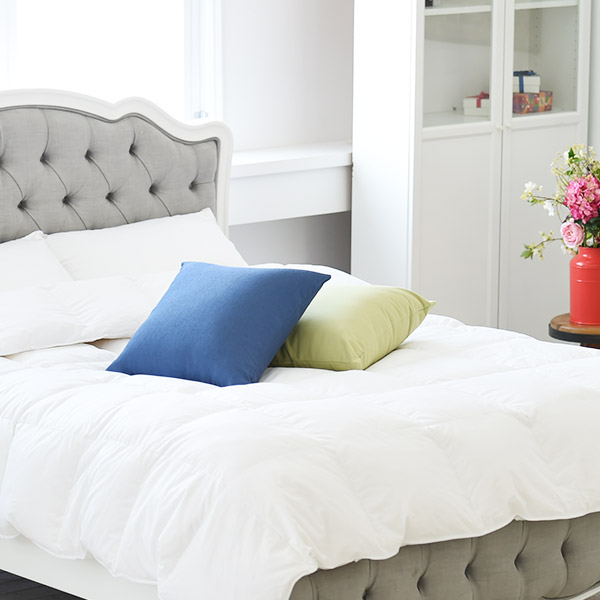 �����Ͽ콺 �����ư �����ٿ� �̺Ҽ� K