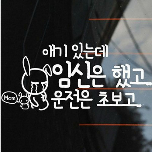 (423) 애기 있는데 임신은 했고 운전은 초보고 스티커