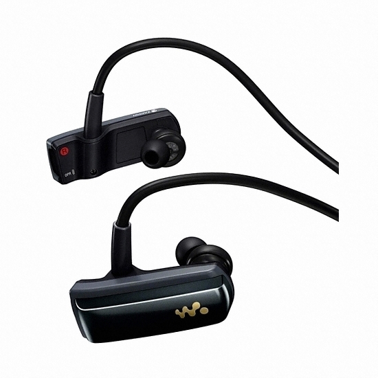 NWZ-W250 Series NWZ-W252 블랙 2GB