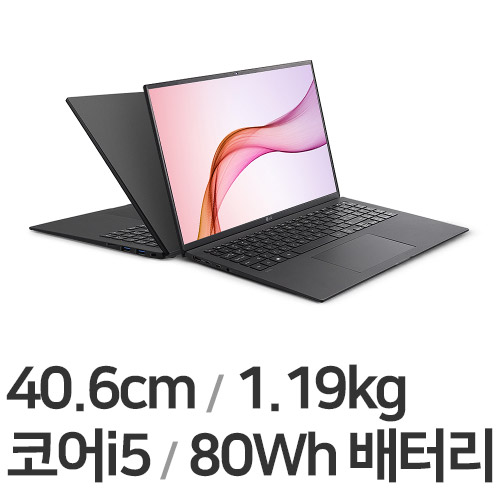 LG전자 2021 그램16 16ZD90P-GX5LK WIN10 (SSD 256GB)