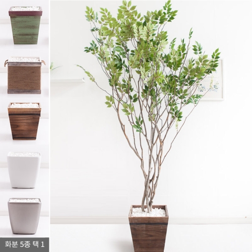 플라워트리 라인-느티나무화분set 240cm  조화  FREOFT이미지입니다. 누르면 해당 게시물로 새창이동합니다.