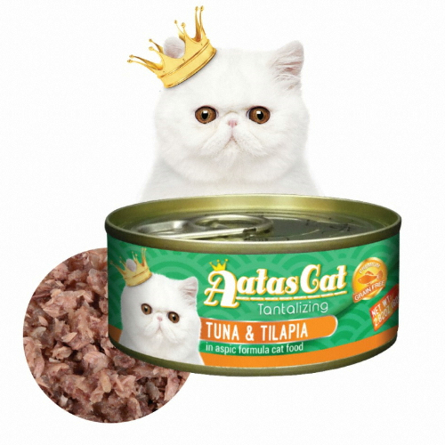 ��þ��ڸ��� ��Ÿ�� �Ծ�Ÿ�� Ĺ �ֽ�ĵ ��ġ&ƿ���Ǿ� 80g