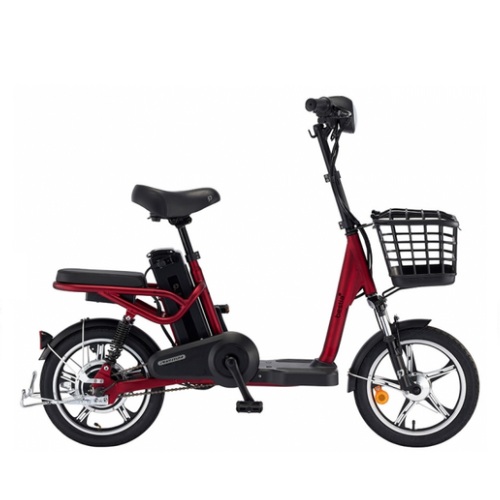 ��õ�������� ���� ����Ƽ�� �÷��� DUAL (2026����)