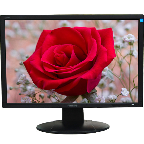 �ʸ��� 220WS8FB ������