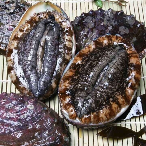 현탑수산 삼삼한 완도 활전복 7~8미 1kg