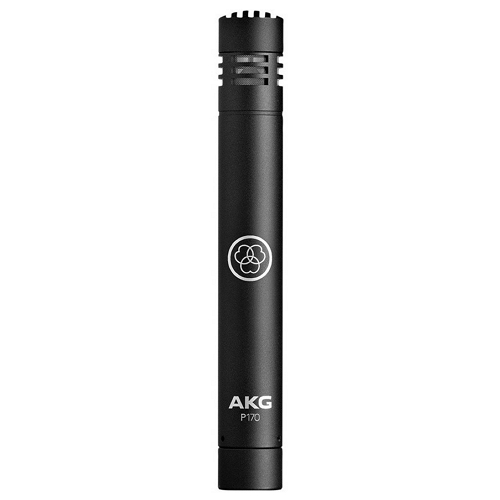 AKG P170 (해외구매)