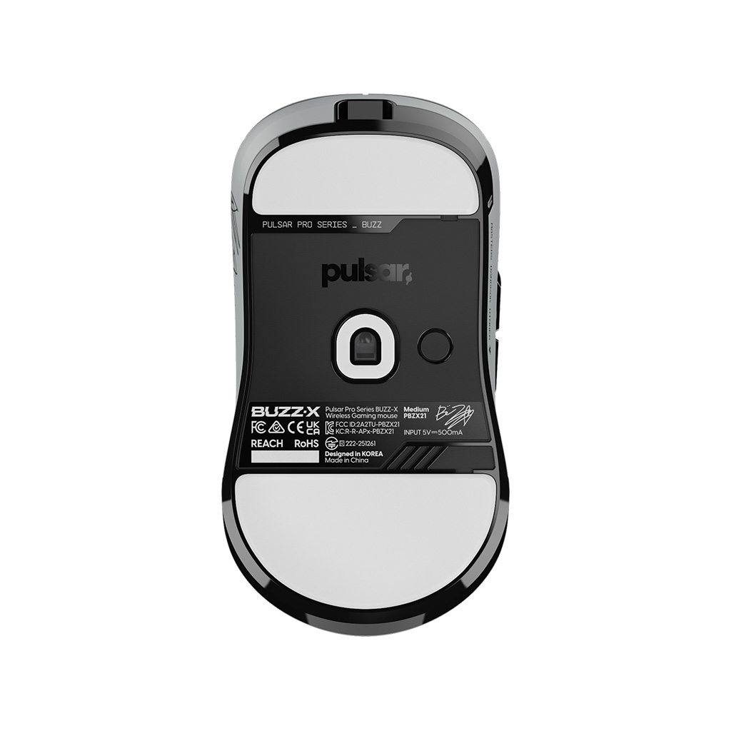 Pulsar BUZZ-X �̵�� ����