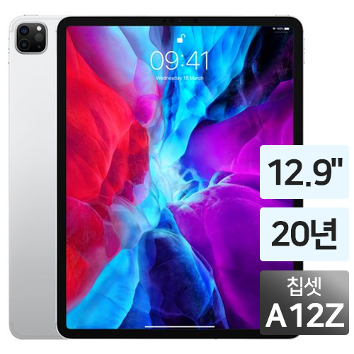 APPLE iPad Pro 12.9 4세대 (256GB)