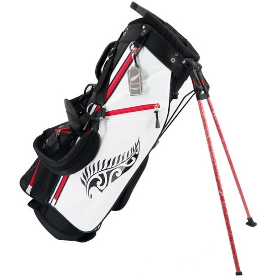 스탠드형 캐디백