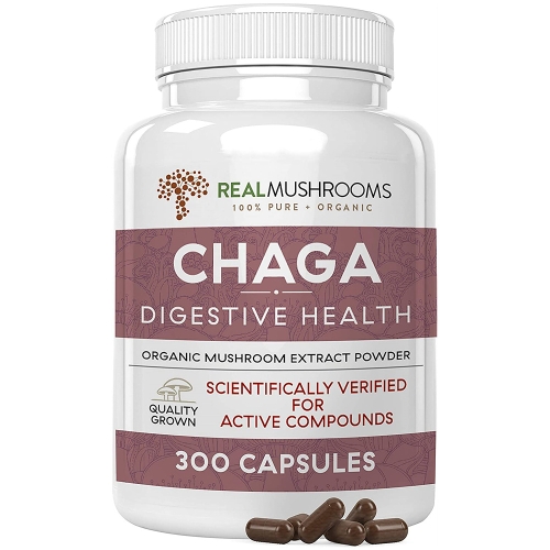 Real Mushrooms Chaga ���� �ӽ��� ���� ���� ���⹰ 300ĸ��