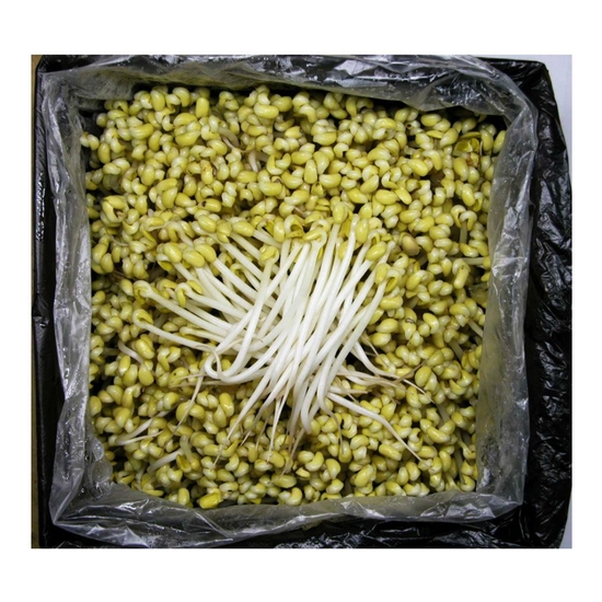 강산애닷컴 일자 콩나물 3.5kg (1개)_이미지