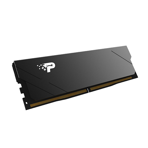 PATRIOT DDR5-6000 CL30 SIGNATURE PREMIUM EVO 블랙 (16GB)_이미지