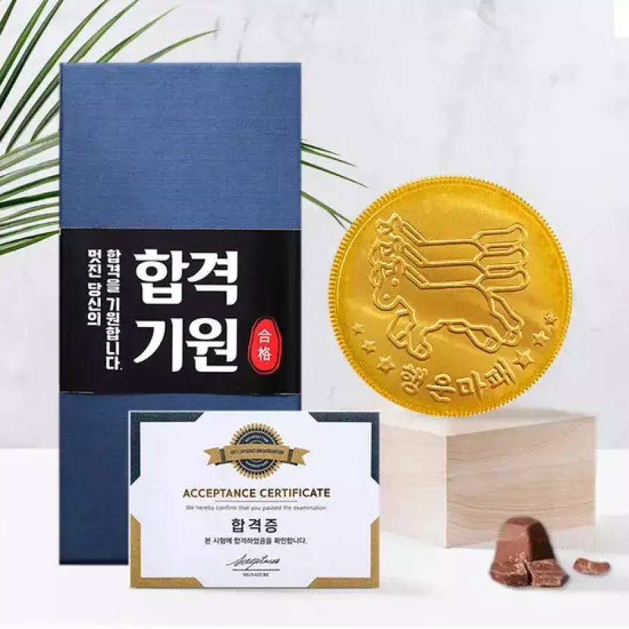 스틴랜드 합격기원 선물 금화 초콜릿 메달 선물세트 (1개)